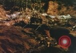 Image of United States Marine Corps photographers Pacific Theater, 1944, second 59 stock footage video 65675064072