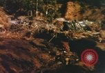 Image of United States Marine Corps photographers Pacific Theater, 1944, second 60 stock footage video 65675064072
