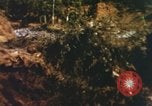 Image of United States Marine Corps photographers Pacific Theater, 1944, second 61 stock footage video 65675064072
