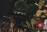 Image of Pacific islanders climb trees and repair nets Pacific Theater, 1944, second 3 stock footage video 65675064073