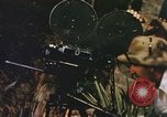 Image of Pacific islanders climb trees and repair nets Pacific Theater, 1944, second 4 stock footage video 65675064073