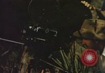 Image of Pacific islanders climb trees and repair nets Pacific Theater, 1944, second 8 stock footage video 65675064073