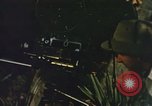 Image of Pacific islanders climb trees and repair nets Pacific Theater, 1944, second 9 stock footage video 65675064073