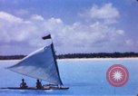 Image of Pacific islanders climb trees and repair nets Pacific Theater, 1944, second 12 stock footage video 65675064073