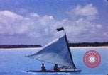 Image of Pacific islanders climb trees and repair nets Pacific Theater, 1944, second 13 stock footage video 65675064073