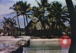 Image of Pacific islanders climb trees and repair nets Pacific Theater, 1944, second 15 stock footage video 65675064073
