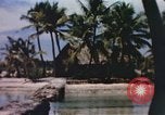Image of Pacific islanders climb trees and repair nets Pacific Theater, 1944, second 16 stock footage video 65675064073