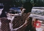 Image of Pacific islanders climb trees and repair nets Pacific Theater, 1944, second 23 stock footage video 65675064073