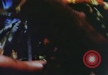 Image of Pacific islanders climb trees and repair nets Pacific Theater, 1944, second 42 stock footage video 65675064073