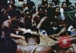 Image of Pacific islanders climb trees and repair nets Pacific Theater, 1944, second 45 stock footage video 65675064073