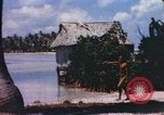 Image of Pacific islanders climb trees and repair nets Pacific Theater, 1944, second 46 stock footage video 65675064073