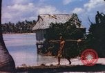Image of Pacific islanders climb trees and repair nets Pacific Theater, 1944, second 47 stock footage video 65675064073