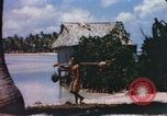 Image of Pacific islanders climb trees and repair nets Pacific Theater, 1944, second 48 stock footage video 65675064073