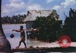 Image of Pacific islanders climb trees and repair nets Pacific Theater, 1944, second 49 stock footage video 65675064073