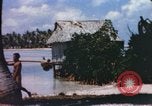 Image of Pacific islanders climb trees and repair nets Pacific Theater, 1944, second 50 stock footage video 65675064073
