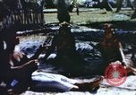 Image of Pacific islanders climb trees and repair nets Pacific Theater, 1944, second 51 stock footage video 65675064073
