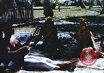 Image of Pacific islanders climb trees and repair nets Pacific Theater, 1944, second 52 stock footage video 65675064073