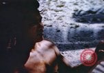 Image of Pacific islanders climb trees and repair nets Pacific Theater, 1944, second 57 stock footage video 65675064073