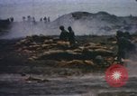 Image of US Marines in combat on Pacific island Pacific Theater, 1944, second 17 stock footage video 65675064074