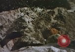 Image of US Marines in combat on Pacific island Pacific Theater, 1944, second 25 stock footage video 65675064074