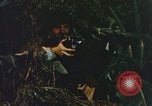 Image of US Marines in combat on Pacific island Pacific Theater, 1944, second 30 stock footage video 65675064074