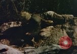Image of US Marines in combat on Pacific island Pacific Theater, 1944, second 34 stock footage video 65675064074