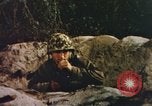Image of US Marines in combat on Pacific island Pacific Theater, 1944, second 37 stock footage video 65675064074