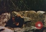 Image of US Marines in combat on Pacific island Pacific Theater, 1944, second 38 stock footage video 65675064074