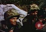 Image of US Marines in combat on Pacific island Pacific Theater, 1944, second 50 stock footage video 65675064074