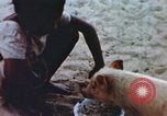 Image of United States Marine Corps Pacific Theater, 1944, second 13 stock footage video 65675064075