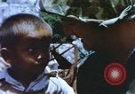 Image of United States Marine Corps Pacific Theater, 1944, second 29 stock footage video 65675064075