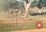 Image Les Marines américains s'entraînent sur un parcours d'assaut sous le feu ennemi Australie, 1943, de la seconde 14 séquences d'archives historiques vidéo 65675064080