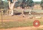 Image Les Marines américains s'entraînent sur un parcours d'assaut sous le feu ennemi Australie, 1943, de la seconde 15 séquences d'archives historiques vidéo 65675064080