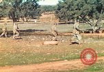 Image Les Marines américains s'entraînent sur un parcours d'assaut sous le feu ennemi Australie, 1943, de la seconde 16 séquences d'archives historiques vidéo 65675064080