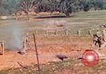 Image Les Marines américains s'entraînent sur un parcours d'assaut sous le feu ennemi Australie, 1943, de la seconde 29 séquences d'archives historiques vidéo 65675064080