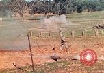 Image Les Marines américains s'entraînent sur un parcours d'assaut sous le feu ennemi Australie, 1943, de la seconde 31 séquences d'archives historiques vidéo 65675064080