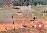 Image Les Marines américains s'entraînent sur un parcours d'assaut sous le feu ennemi Australie, 1943, de la seconde 32 séquences d'archives historiques vidéo 65675064080
