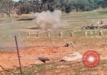 Image Les Marines américains s'entraînent sur un parcours d'assaut sous le feu ennemi Australie, 1943, de la seconde 33 séquences d'archives historiques vidéo 65675064080