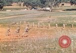 Image Les Marines américains s'entraînent sur un parcours d'assaut sous le feu ennemi Australie, 1943, de la seconde 37 séquences d'archives historiques vidéo 65675064080