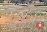 Image Les Marines américains s'entraînent sur un parcours d'assaut sous le feu ennemi Australie, 1943, de la seconde 38 séquences d'archives historiques vidéo 65675064080