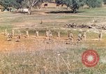 Image Les Marines américains s'entraînent sur un parcours d'assaut sous le feu ennemi Australie, 1943, de la seconde 40 séquences d'archives historiques vidéo 65675064080