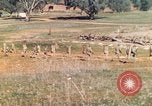 Image Les Marines américains s'entraînent sur un parcours d'assaut sous le feu ennemi Australie, 1943, de la seconde 41 séquences d'archives historiques vidéo 65675064080