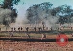 Image 1re Division des Marines des États-Unis Australie, 1943, de la seconde 8 séquences d'archives historiques vidéo 65675064081