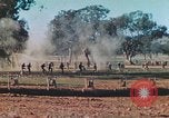 Image 1re Division des Marines des États-Unis Australie, 1943, de la seconde 9 séquences d'archives historiques vidéo 65675064081