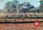 Image 1re Division des Marines des États-Unis Australie, 1943, de la seconde 15 séquences d'archives historiques vidéo 65675064081