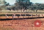 Image 1re Division des Marines des États-Unis Australie, 1943, de la seconde 27 séquences d'archives historiques vidéo 65675064081