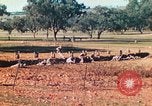 Image 1re Division des Marines des États-Unis Australie, 1943, de la seconde 29 séquences d'archives historiques vidéo 65675064081