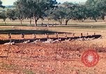Image 1re Division des Marines des États-Unis Australie, 1943, de la seconde 31 séquences d'archives historiques vidéo 65675064081