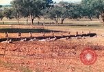 Image 1re Division des Marines des États-Unis Australie, 1943, de la seconde 32 séquences d'archives historiques vidéo 65675064081