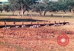 Image 1re Division des Marines des États-Unis Australie, 1943, de la seconde 33 séquences d'archives historiques vidéo 65675064081